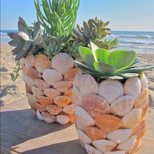 Meet your Posher, Julee